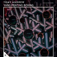 Přední strana obalu CD Yang Penting Boxing
