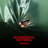 Glass Animals – Wonderful Nothing [Edit]