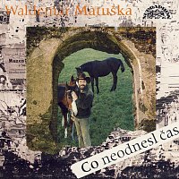 Waldemar Matuška – Co neodnesl čas MP3