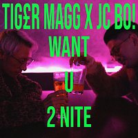 Přední strana obalu CD Want U 2Nite