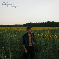Tomi Saario – Satamiljoonaa puutarhaa