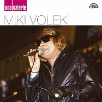 Miki Volek – Pop galerie CD