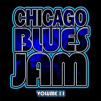 Chicago Blues Jam, Vol. 11 (Live)