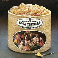 Přední strana obalu CD Jungle Marmalade