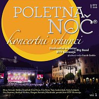 Simfonični orkester RTV Slovenija, Big band rtv Slovenija – Poletna noč - koncertni vrhunci, Vol. 1 (Live)