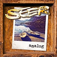 SEER – Analog
