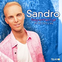 Sandro – Sag einfach ja (Remix)