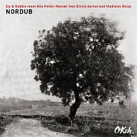 Sly & Robbie meet Nils Petter Molvaer, Eivind Aarset & Vladislav Delay – Nordub