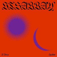 D'Arcy Spiller – Disarray