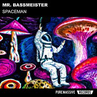 Mr. Bassmeister – Spaceman