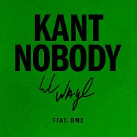 Kant Nobody