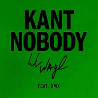 Lil Wayne, DMX – Kant Nobody