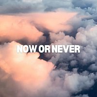 Přední strana obalu CD Now or Never