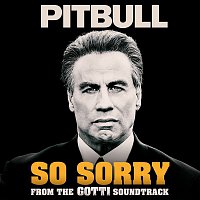 Pitbull – So Sorry