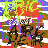 Přední strana obalu CD 20000$