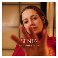 Přední strana obalu CD Was immer es ist