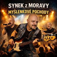 Synek z Moravy – Myšlenkové pochody