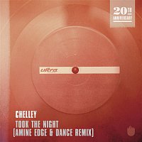 Chelley – Took The Night (Amine Edge & DANCE Remix)