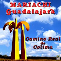 Mariachi Guadalajara – Camino Real de Colima