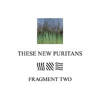 These New Puritans – Fragment Two