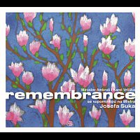Remembrance se vzpomínkou na Mistra Josefa Suka