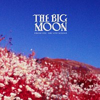 The Big Moon – Praise You [BBC Live Session]