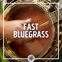 Různí interpreti – Fast Bluegrass