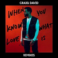 Craig David – When You Know What Love Is (Remixes)