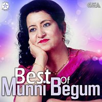 Munni Begum – Best Of Munni Begum