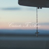 Mosaic MSC – Cuánto Te Amo