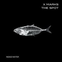 Indigo Water – X Marks the Spot