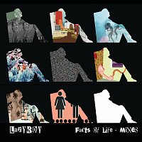 Lazyboy – Facts Of Life [Danny Red Remix]