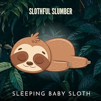 Sleeping Baby Sloth – Slothful Slumber