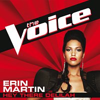 Erin Martin – Hey There Delilah [The Voice Performance]