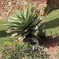 Přední strana obalu CD Bassdesire