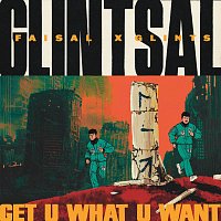 GLINTSAL, FAISAL, Glints – Get U What U Want