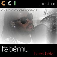 Přední strana obalu CD Tu Es Belle