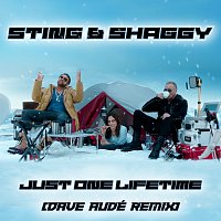 Sting, Shaggy, Dave Audé – Just One Lifetime [Dave Audé Remix]