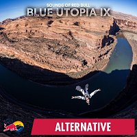 Přední strana obalu CD Blue Utopia IX