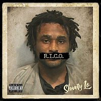 Shawty Lo – B.I.G (feat. Lil Boosie & Alexis Branch)