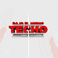 Carlos Sadness & Zahara – Bajo el Mismo Techo