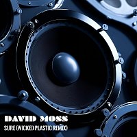 David Moss – Sure (Wicked Plastic Remix)