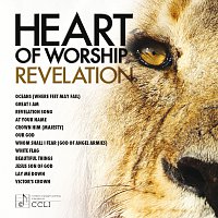 Různí interpreti – Heart Of Worship Revelation
