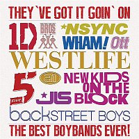 Various  Artists – They've Got It Going On...The Best Boybands Ever!