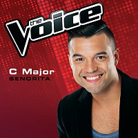 C Major – Senorita [The Voice Australia 2014 Performance]