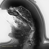 Přední strana obalu CD Sum