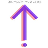 Many Things – What We Are