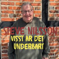 Steve Nilsson – Visst är det underbart