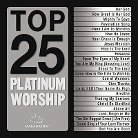 Různí interpreti – Top 25 Platinum Worship