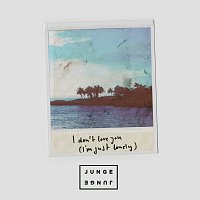 Junge Junge – I Don't Love You (I'm Just Lonely)